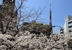 営業サポート